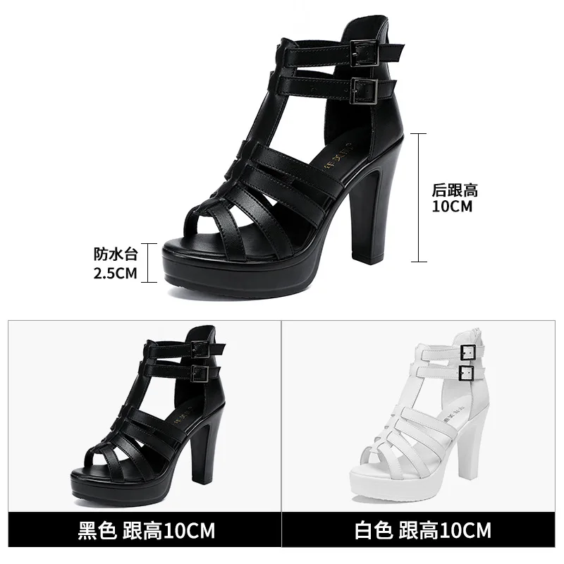 Gladiator Ladies Shoe for Wome - Summer Clothing Stores ulasan dan harga